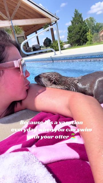 @Wild South Exotics