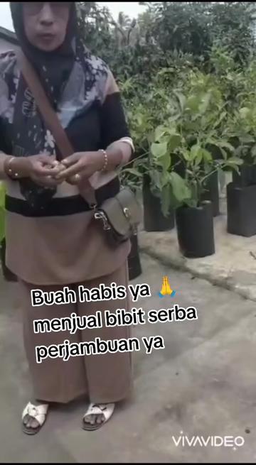 @Bibit khusus samarinda