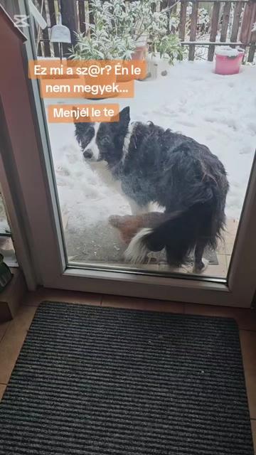 @Akt&iacute;van kuty&aacute;val