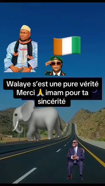 @Ya-pas-chien🐕-Ya-pas-chat🐈
