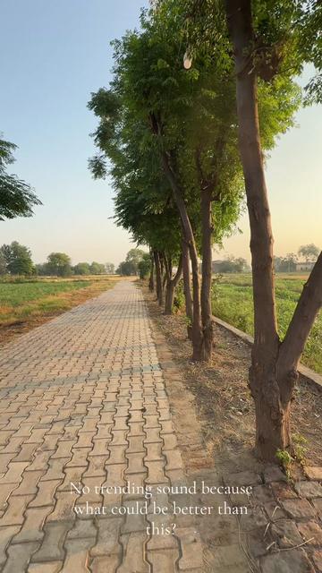 @amansingh