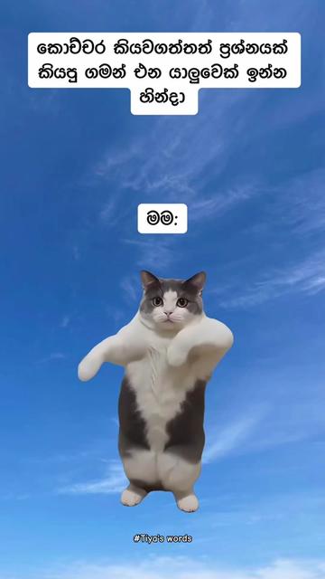 @๐