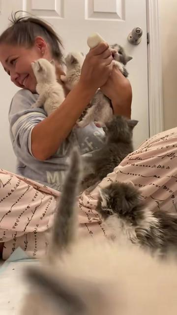 @Emookitkats