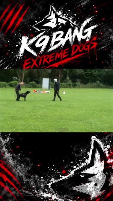 @K9 BANG