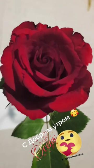 @Ainagul