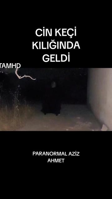 @BilalParanormalHBR