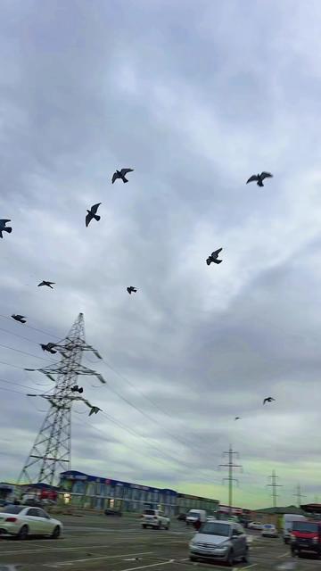 @Pak Xəzər elektronika kreditlə