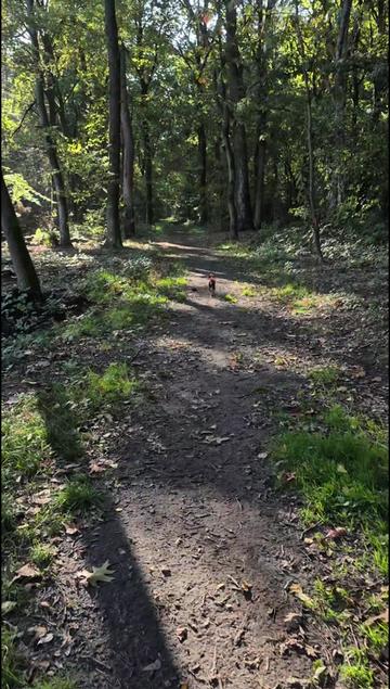 @SabrinaTeamWuffhaus🐕
