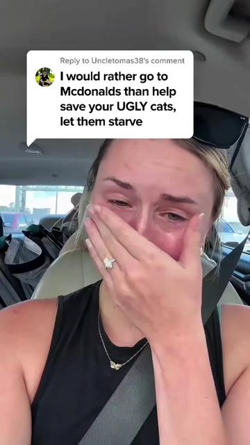 @Purry Paws