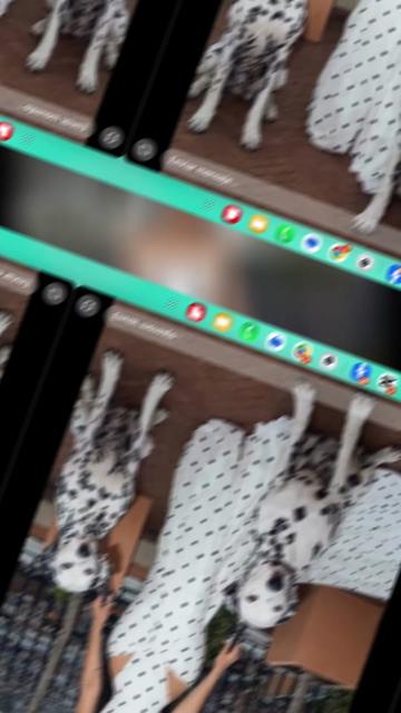 @migdaliasantos09