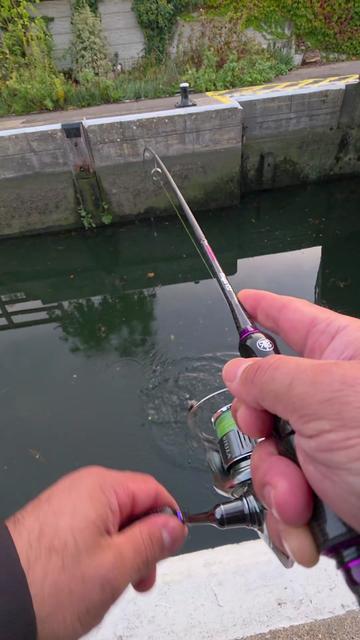 @BF Angler