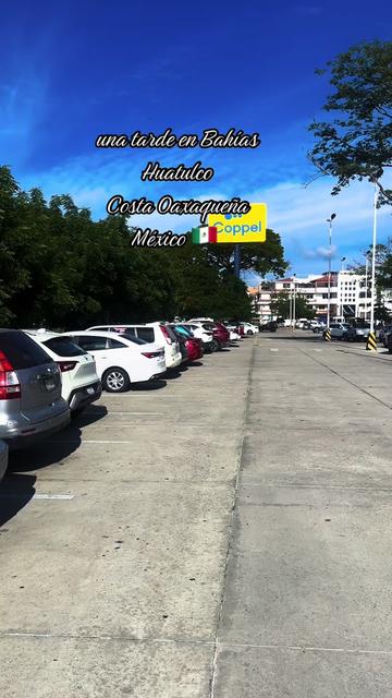 @caballeroviajero0317