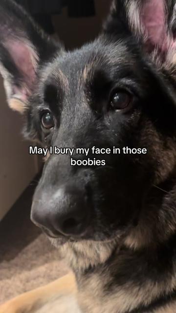 @Bhris