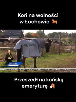 @TVP3 BYDGOSZCZ