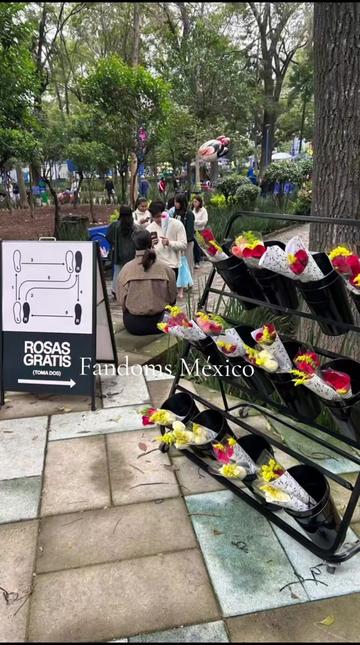 @Fandomsmx