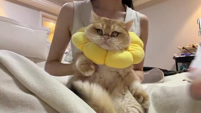 @𝒫今天听歌了吗🎧