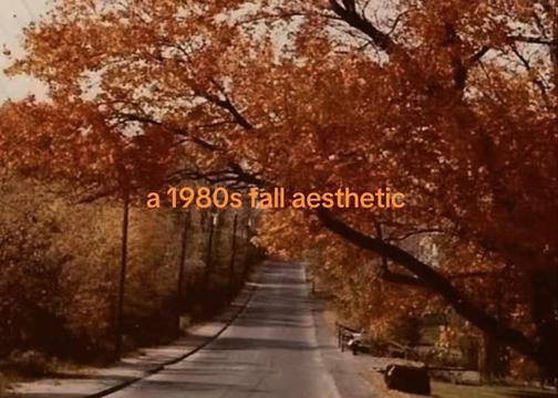 @🧪🚫𝐬𝐮𝐠𝐚𝐫𝐬𝐡𝐚𝐧𝐞🍁🎃