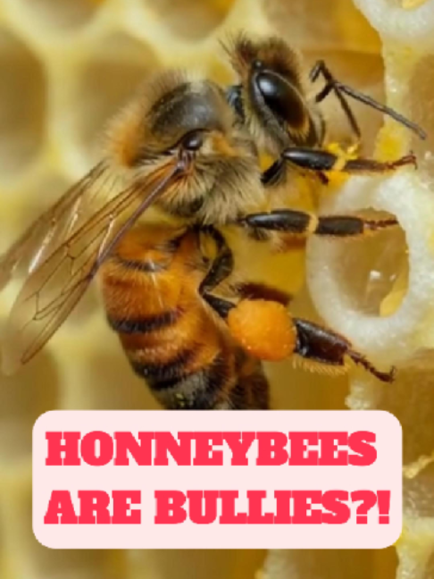 @WildlifeWonderTV Animal Facts