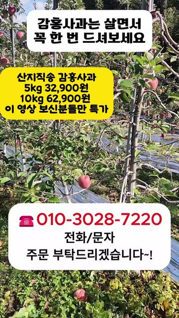 @프루트빌리지