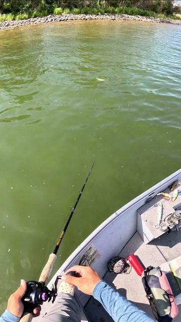 @Dkam Fishing (NJ)