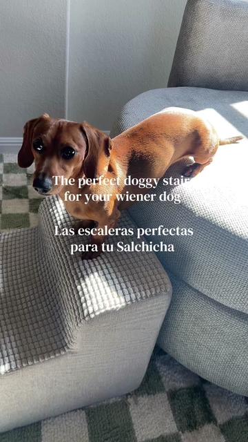 @Slinky Severus-Doo