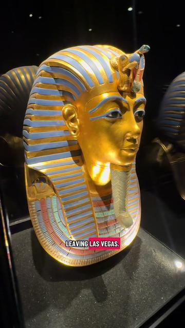 @VegasStarfish