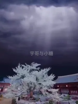 @宇哥与小糖
