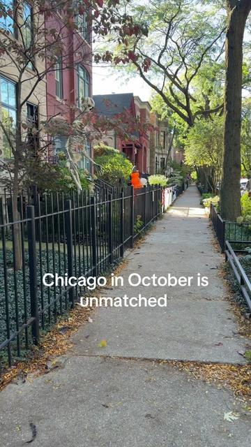 @Crashout Bandicoot
