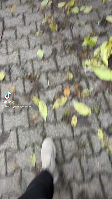 @Iustina🇹🇩♊️