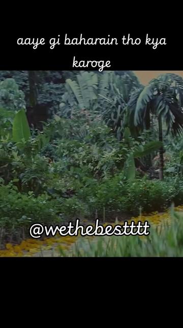 @wethebestttt