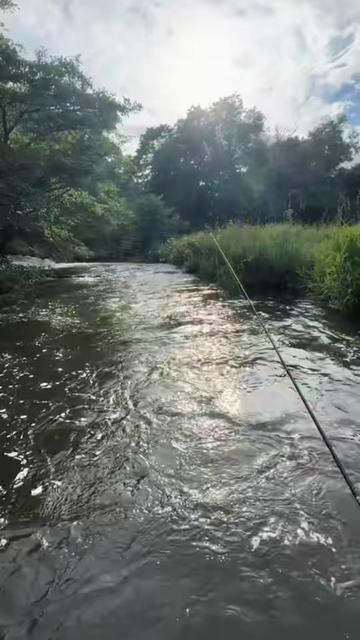 @Alba Trout 🏴