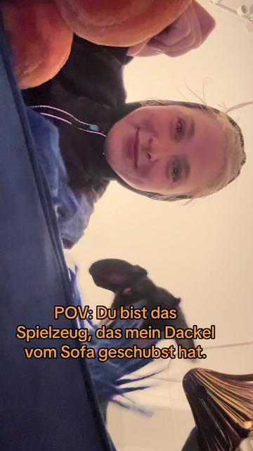 @SausagedogMaja