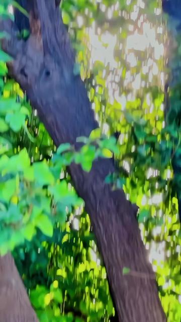 @𝘽𝙇𝘼𝘾𝙆 𝙇𝙄𝙁𝙀_𝟖𝟎𝟒🇧🇫