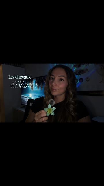 @Animae Ostéo