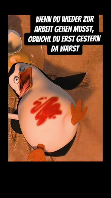 @zahnzaubermaeuschen