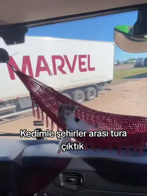 @CrazyBoy