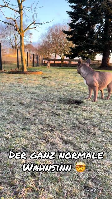 @In‘t Noord