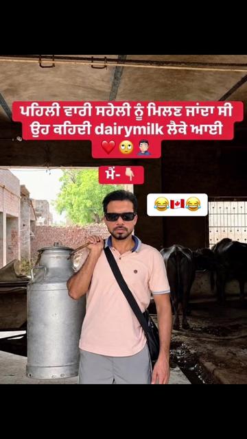 @vehlijanta761