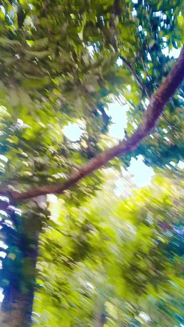 @কষ্টের জীবন আমার😭😭