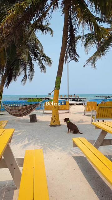 @Mac🌺🗺️| Solo Travel & UGC