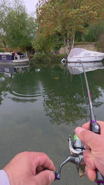 @BF Angler
