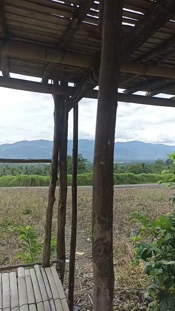 @Mas Kaeng