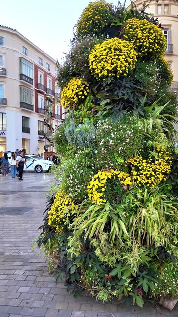 @Life in Spain