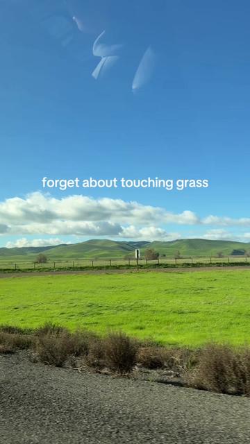 @Misty