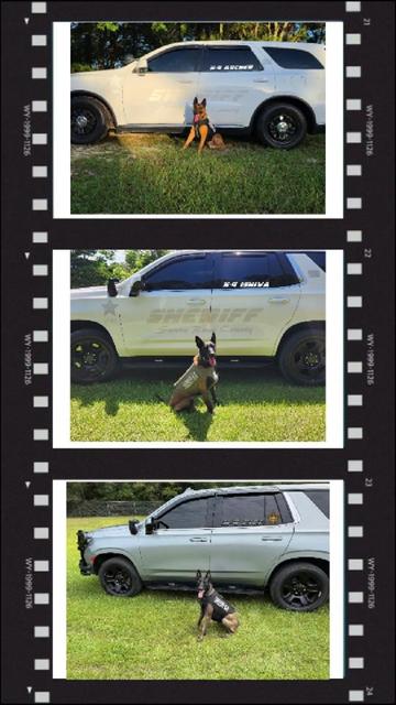 @Vested Interest in K9s, Inc.