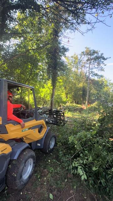 @G&O tree servicess