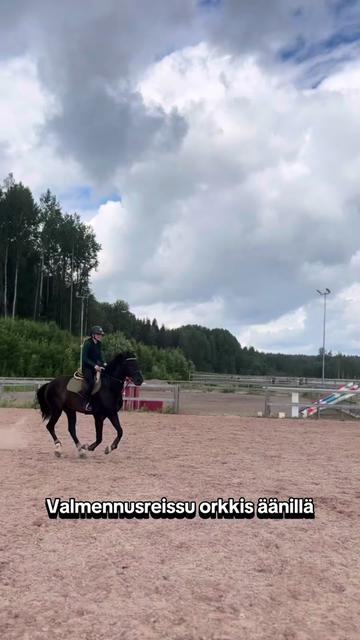 @Minja Hindström