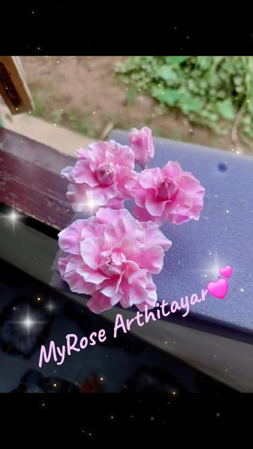 @Arthitayar-นุ่น🥰🥰