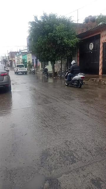 @Paloma Avila