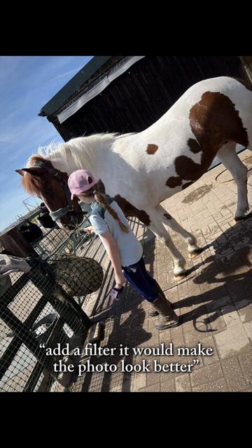 @LottiesHorseAdventures🦄🐴